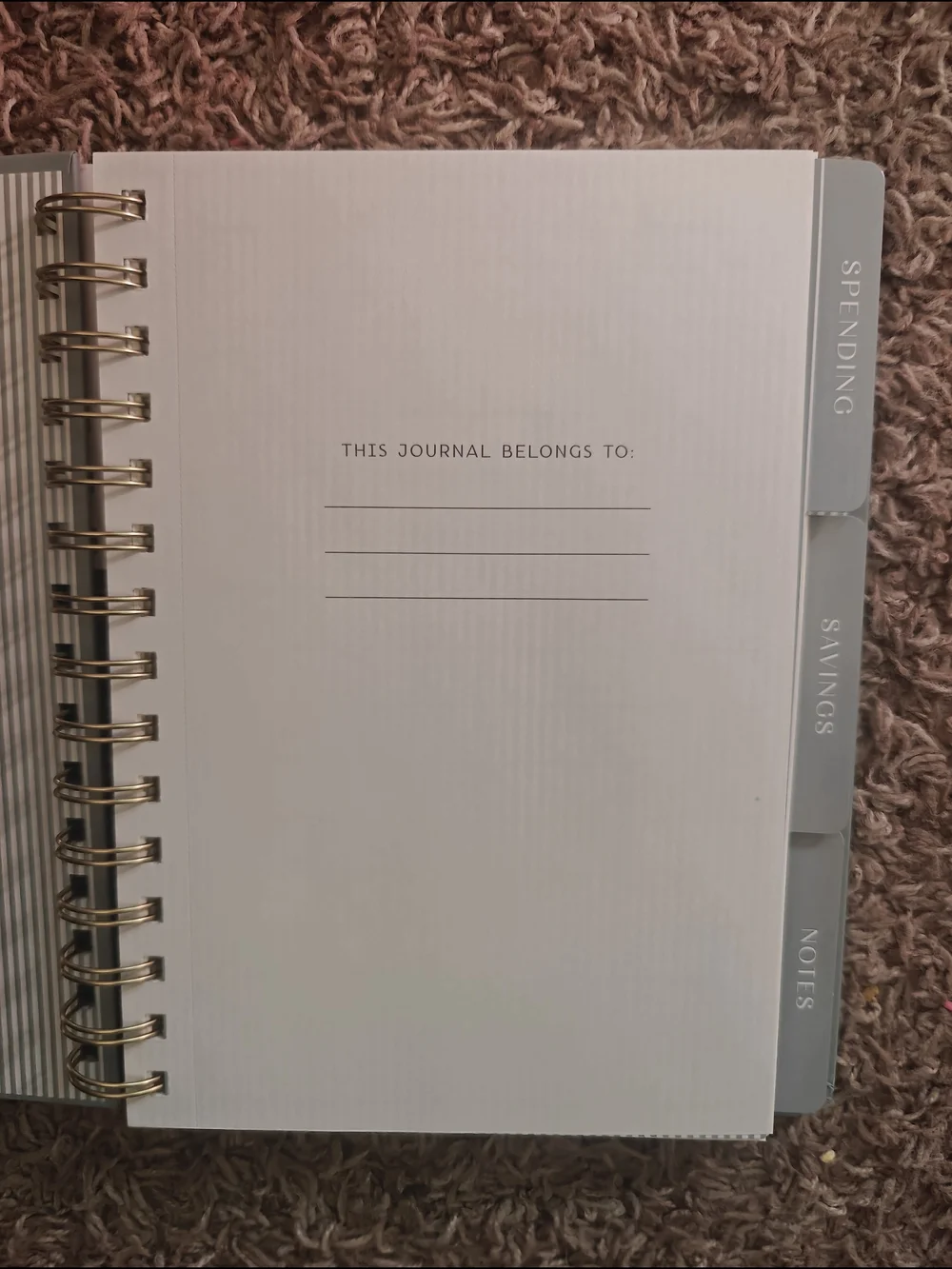Up & Up Budget Tracker Notebook - 
